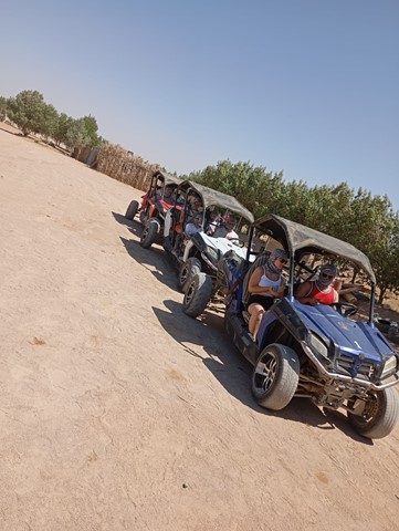 Family safari 